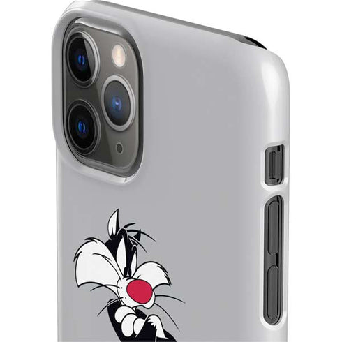 Looney Tunes Sylvester Tweety Bird Crossed Arms iPhone 11 Pro Lite Case
