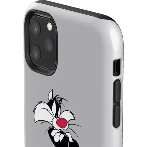 Looney Tunes Sylvester Tweety Bird Crossed Arms iPhone 11 Pro Max Impact Case