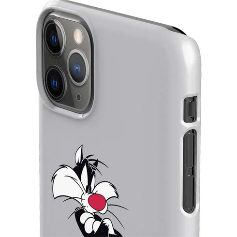 Looney Tunes Sylvester Tweety Bird Crossed Arms iPhone 11 Pro Max Lite Case