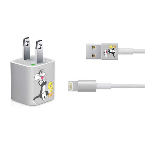 Looney Tunes Sylvester Tweety Bird Crossed Arms iPhone Charger (5W USB) Skin