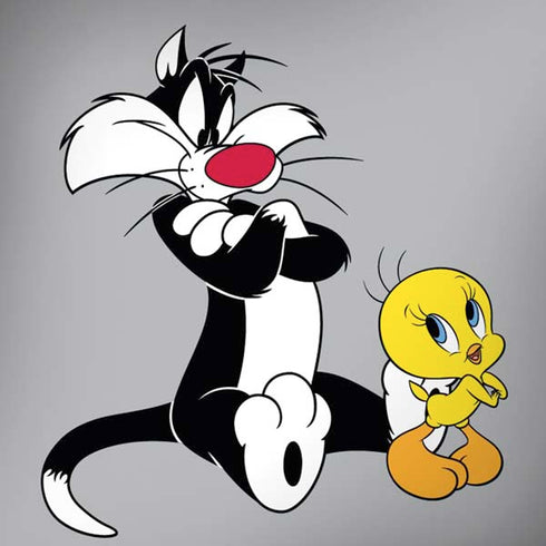 Looney Tunes Sylvester Tweety Bird Crossed Arms iPhone X Pro Case