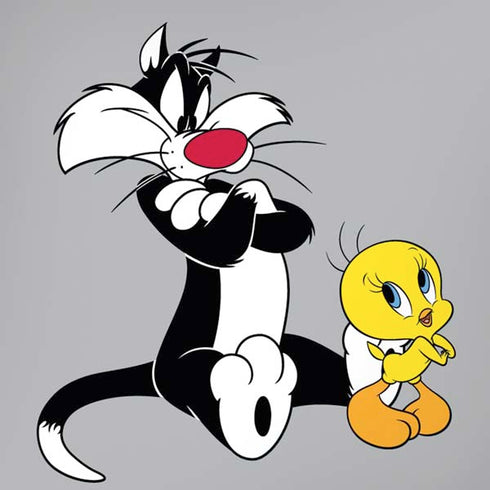 Looney Tunes Sylvester Tweety Bird Crossed Arms iPhone XR Pro Case