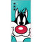 Looney Tunes Sylvester Zoomed In Galaxy Note 10 Skin