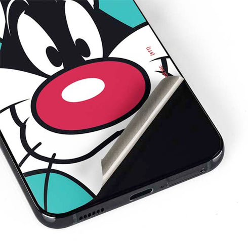 Looney Tunes Sylvester Zoomed In Galaxy S22 Skin