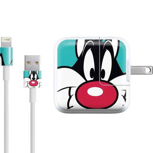 Looney Tunes Sylvester Zoomed In iPad Charger (10W USB) Skin