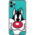 Looney Tunes Sylvester Zoomed In iPhone 11 Pro Max Skin