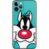 Looney Tunes Sylvester Zoomed In iPhone 11 Pro Skin