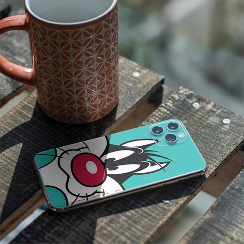 Looney Tunes Sylvester Zoomed In iPhone 11 Pro Skin