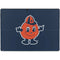 Syracuse Orange Mascot Surface Pro 8 Skin