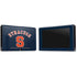 Syracuse S Blue Nintendo Switch Bundle Skin