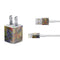 Tabby Cat with Flowers by Nene Thomas iPhone Charger (5W USB) Skin