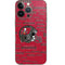 NFL Tampa Bay Buccaneers - Blast iPhone 13 Pro Skin