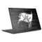 NFL Tampa Bay Buccaneers Black & White HP Envy Skin
