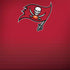 NFL Tampa Bay Buccaneers Breakaway Legion Y720 Skin