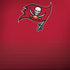 NFL Tampa Bay Buccaneers Breakaway HP Spectre Skin