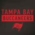 NFL Tampa Bay Buccaneers Brown Performance Series Galaxy Note 8 Skin