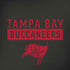 NFL Tampa Bay Buccaneers Brown Performance Series iPhone X Skin