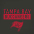 NFL Tampa Bay Buccaneers Brown Performance Series iPhone XR Skin