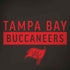 NFL Tampa Bay Buccaneers Brown Performance Series Moto G6 Skin