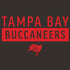 NFL Tampa Bay Buccaneers Brown Performance Series PS4 Pro/Slim Controller Skin