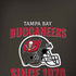 NFL Tampa Bay Buccaneers Helmet Moto G6 Skin
