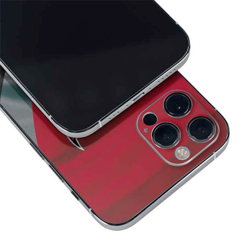 NFL Tampa Bay Buccaneers iPhone 12 Pro Max Skin
