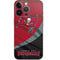 NFL Tampa Bay Buccaneers iPhone 13 Pro Skin