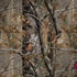 NFL Tampa Bay Buccaneers Realtree AP Camo Dell Alienware Skin