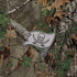 NFL Tampa Bay Buccaneers Realtree Xtra Green Camo iPhone XS Pro Case