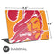 NFL Tampa Bay Buccaneers Retro Logo Universal Laptop 12in (9.8 x 6.8in) Skin