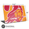 NFL Tampa Bay Buccaneers Retro Logo Universal Laptop 17in (13.8 x 10in) Skin