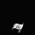 NFL Tampa Bay Buccaneers Shutout iPhone XS Skin