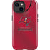NFL Tampa Bay Buccaneers Team Jersey iPhone 15 Plus Impact Case