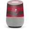 NFL Tampa Bay Buccaneers Trailblazer Google Home Skin