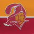 NFL Tampa Bay Buccaneers Vintage PS4 Console Skin