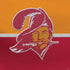 NFL Tampa Bay Buccaneers Vintage PS4 Controller Skin