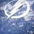NHL Tampa Bay Lightning Frozen iPhone X Pro Case