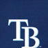 MLB Tampa Bay Rays - Solid Distressed iPhone XR Skin