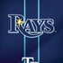 MLB Tampa Bay Rays Alternate/Away Jersey iPhone X Pro Case