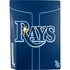 MLB Tampa Bay Rays Alternate/Away Jersey PS5 Console Skin