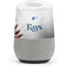 MLB Tampa Bay Rays Game Ball Google Home Skin