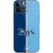 MLB Tampa Bay Rays Split iPhone 14 Pro Max Skin