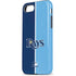MLB Tampa Bay Rays Split iPhone 8 Pro Case