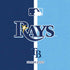 MLB Tampa Bay Rays Split Moto E5 Play Skin
