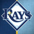 MLB Tampa Bay Rays Split Moto G6 Skin