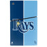 MLB Tampa Bay Rays Split PS5 Slim Disk Bundle Skin