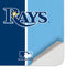 MLB Tampa Bay Rays Split Surface Duo Skin