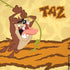 Looney Tunes Tasmanian Devil Rope Swing iPhone XR Pro Case