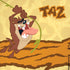 Looney Tunes Tasmanian Devil Rope Swing iPhone XR Skin