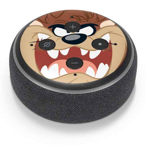 Looney Tunes Tasmanian Devil Up Close Amazon Echo Dot Skin